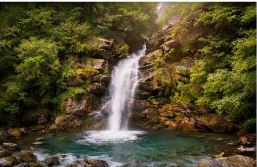 WhatsApp Image 2026-02-02 at 20.10.35